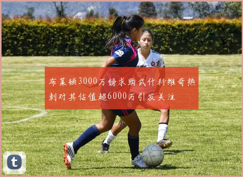 布莱顿3000万镑求购武什科维奇热刺对其估值超6000万引发关注