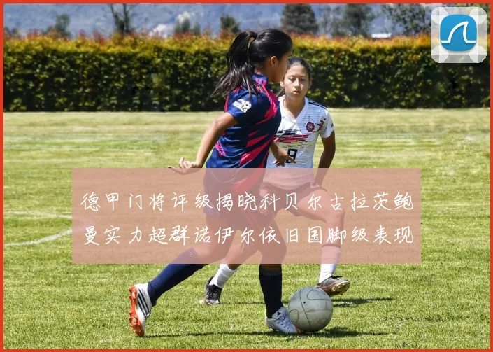 德甲门将评级揭晓科贝尔古拉茨鲍曼实力超群诺伊尔依旧国脚级表现引关注