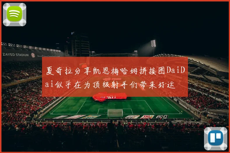 夏奇拉分享凯恩梅哈姆拼接图DaiDai似乎在为顶级射手们带来好运